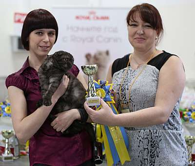 �������� ����� 11-12 ������ 2015 WCF-����� 9-135-169A5361 copy.jpg